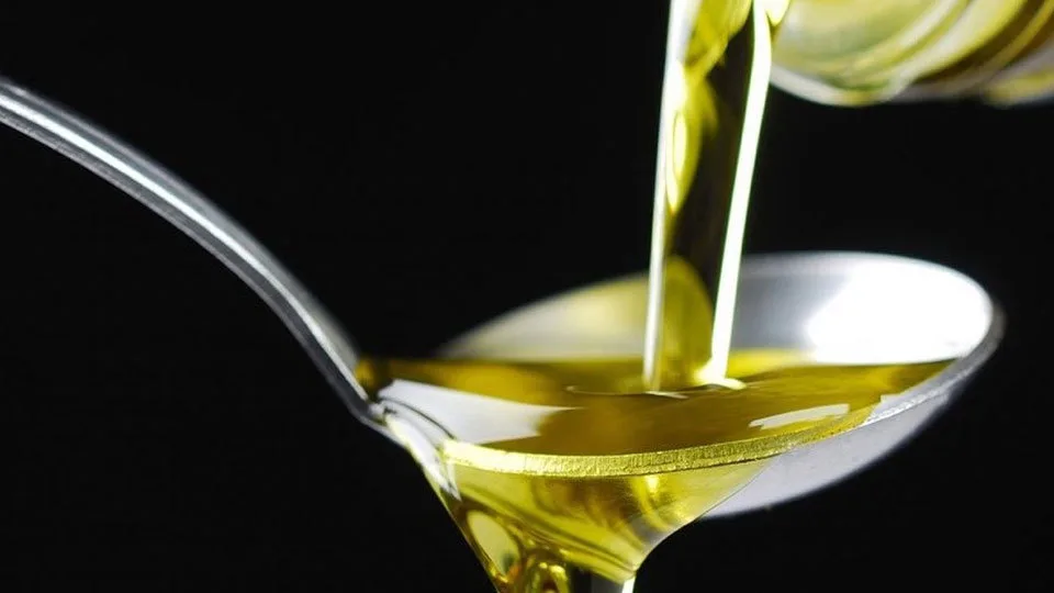 “Παραγωγή Ποιοτικού Ελαιολάδου στην εποχή της Κλιματικής Αλλαγής” από την Ακαδημία Ελαιολάδου