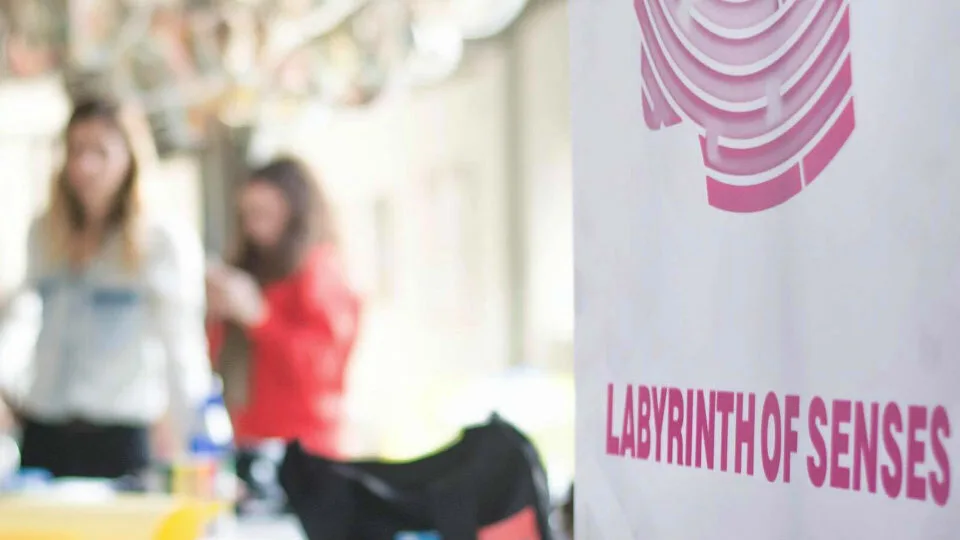 Το Labyrinth of Senses στον Ο.Η.Ε.