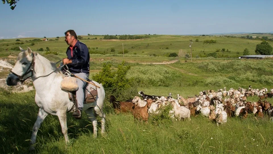 διαΝΕΟσις: Έρευνα για την κατάρρευση των συνεταιρισμών στην Ελλάδα
