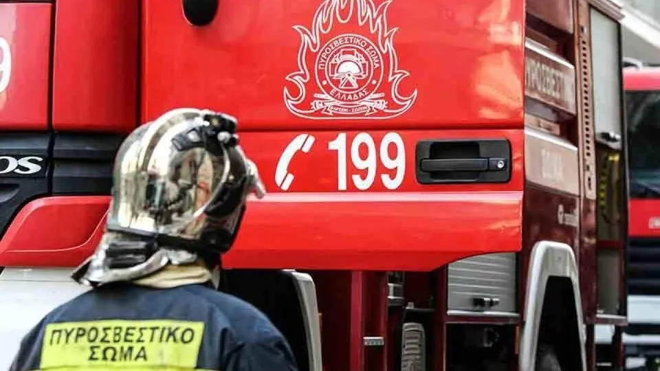 Πυροσβέστες εντόπισαν αρχαιολογικά ευρήματα μετά τη φωτιά στα Λεχαινά