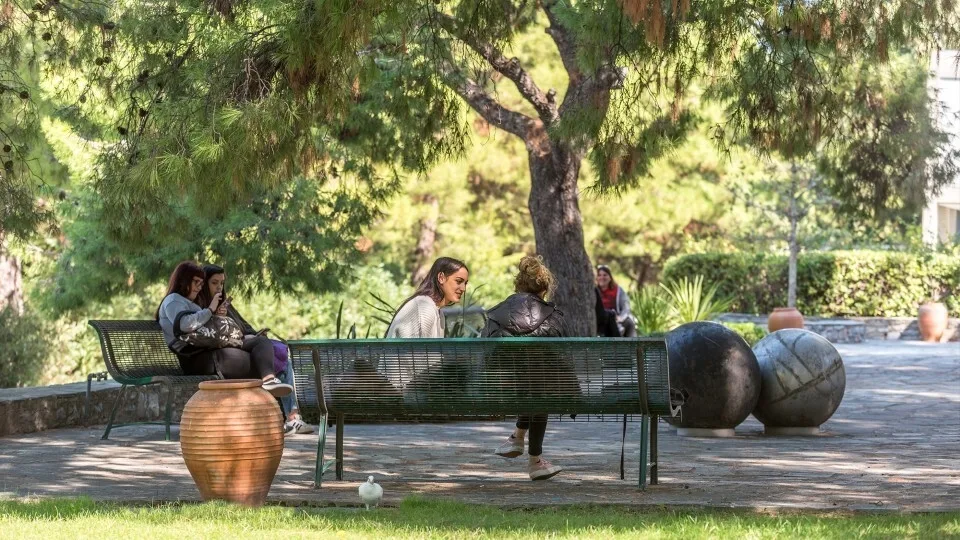 Discover Deree Day: Ενημερωτική εκδήλωση γνωριμίας στις 4 Δεκεμβρίου