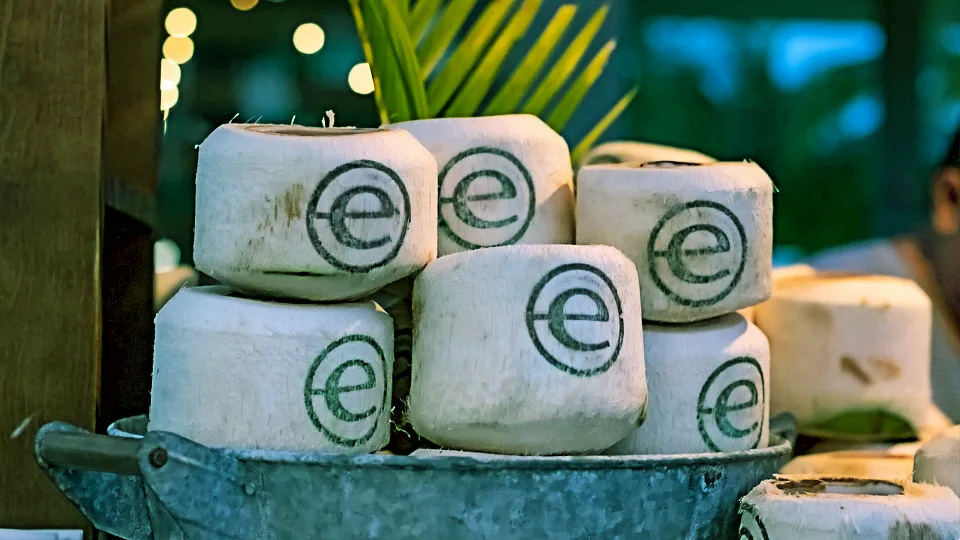 Πρόγραμμα Endeavor Scale-up: Οι εταιρείες του δεύτερου κύκλου