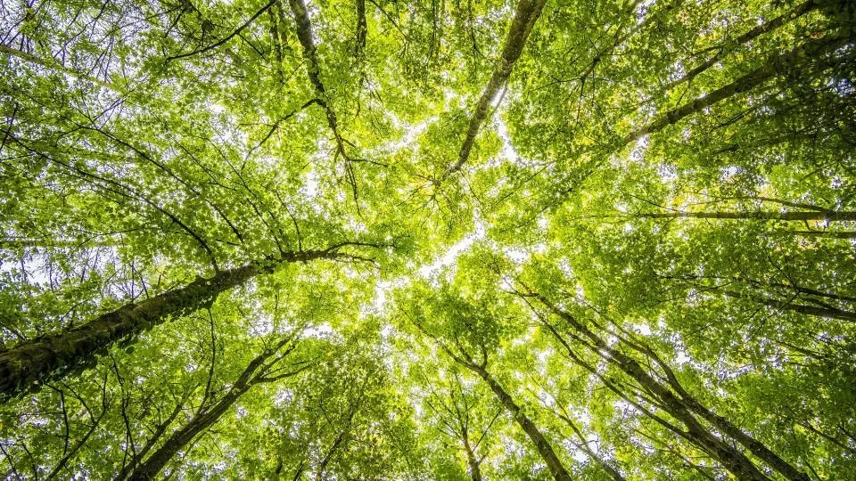 Κομισιόν: Νέα στρατηγική της ΕΕ για την προσαρμογή στην κλιματική αλλαγή