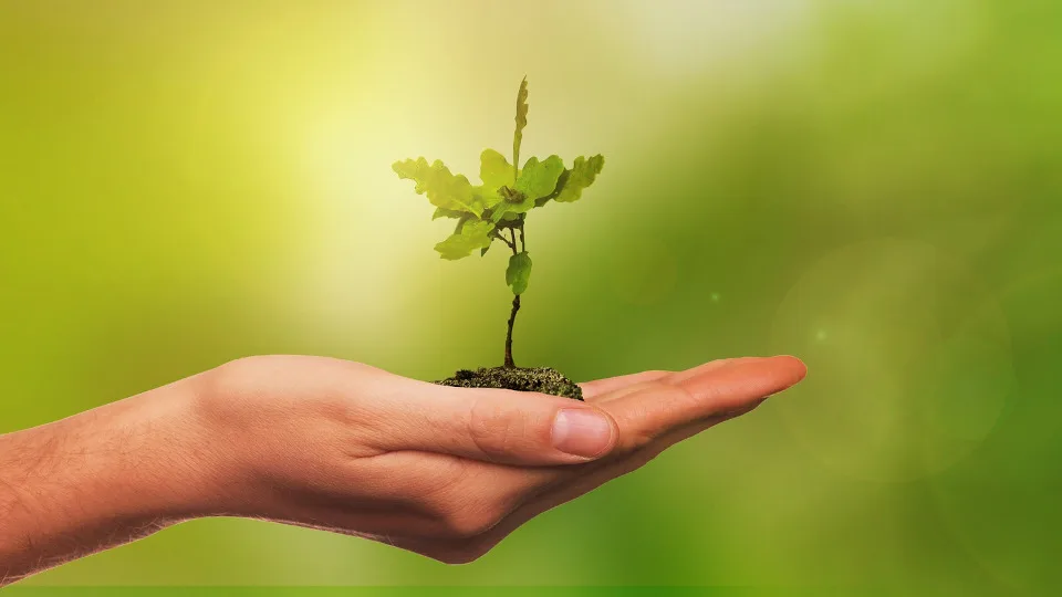 1ο εξ αποστάσεως Φόρουμ για τις επιπτώσεις της κλιματικής αλλαγής στη γεωργία​