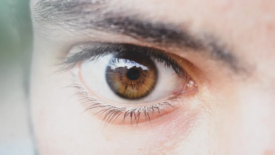 Την Alcon Laboratories Hellas πιστοποίησε η TÜV Hellas (TÜV Nord)