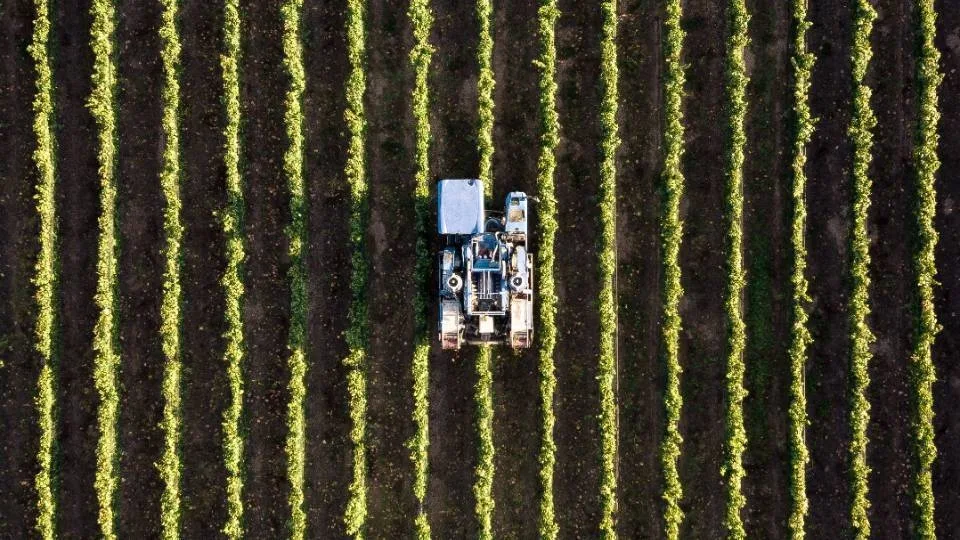 Το εμπόριο αγροδιατροφικών προϊόντων της ΕΕ καταγράφει σταθερή αύξηση