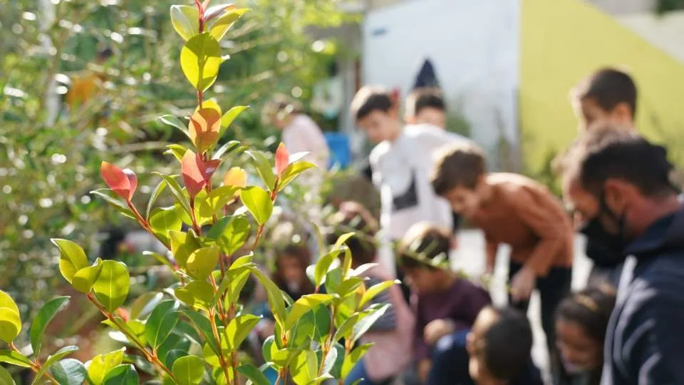 Η Nova και ο Δήμος Αθηναίων ενώνουν τις δυνάμεις τους για μια Αθήνα πιο πράσινη