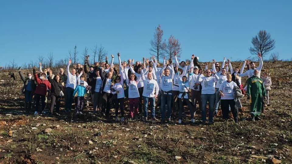 Παπαστράτος: Φυτεύει 70.000 δέντρα και αναλαμβάνει τη φροντίδα τους