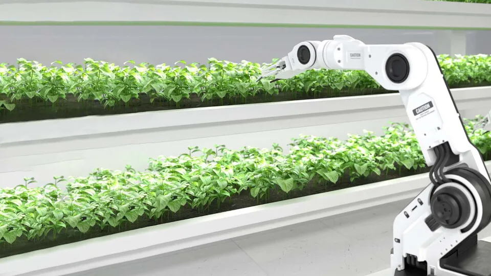 ​KPMG: Σε εφοδιαστική αλυσίδα και τεχνολογικό μετασχηματισμό εστιάζουν οι CEOs στη βιομηχανία