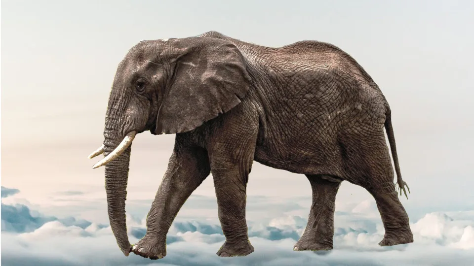 «Όλα τα υπέροχα πράγματα» με τη θεατρική ομάδα αστέγων Walkabout