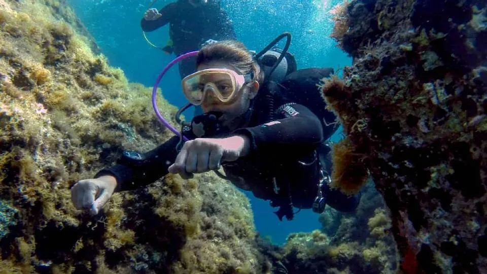 Sea Breaze: Χρυσό βραβείο για το «VUCASIM Dive & Astronaut in the Ocean»