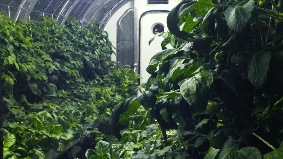 Το 2023 εκτοξεύεται το 1ο εμπορικό διαστημικό θερμοκήπιο - Και βιομηχανική κάνναβη στις καλλιέργειες​