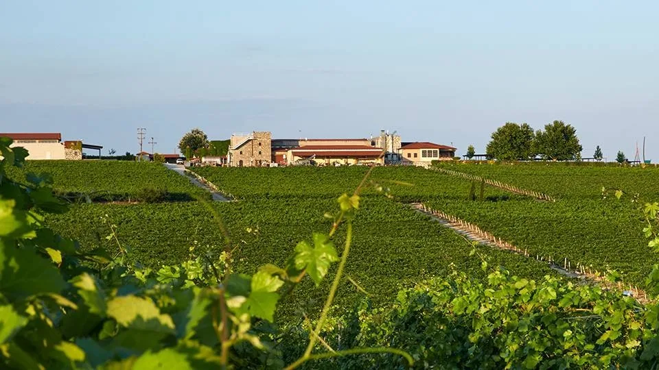 Η TÜV HELLAS επαναπιστοποίησε το Κτήμα Γεροβασιλείου