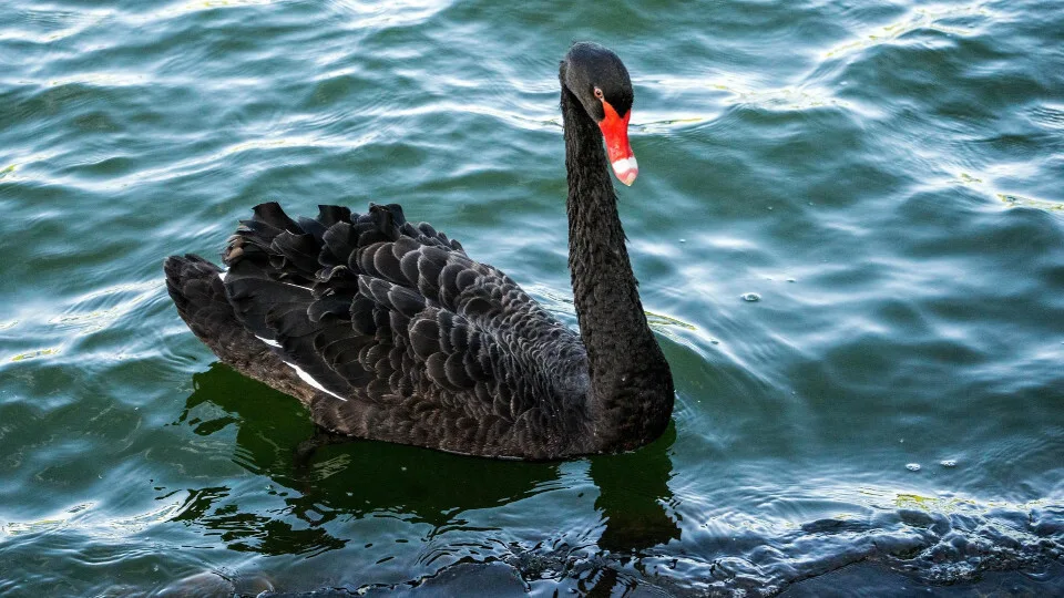 Αναζωπυρώνονται οι χρεοκοπίες και ο εφιάλτης της κερδοσκοπίας