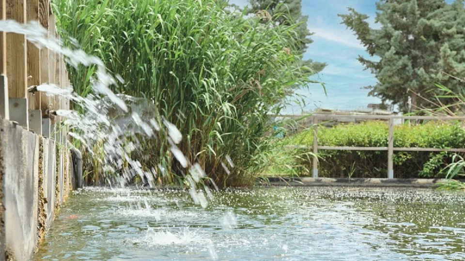 Coca-Cola Τρία Έψιλον: Ανώτατη διάκριση για την υπεύθυνη διαχείριση νερού