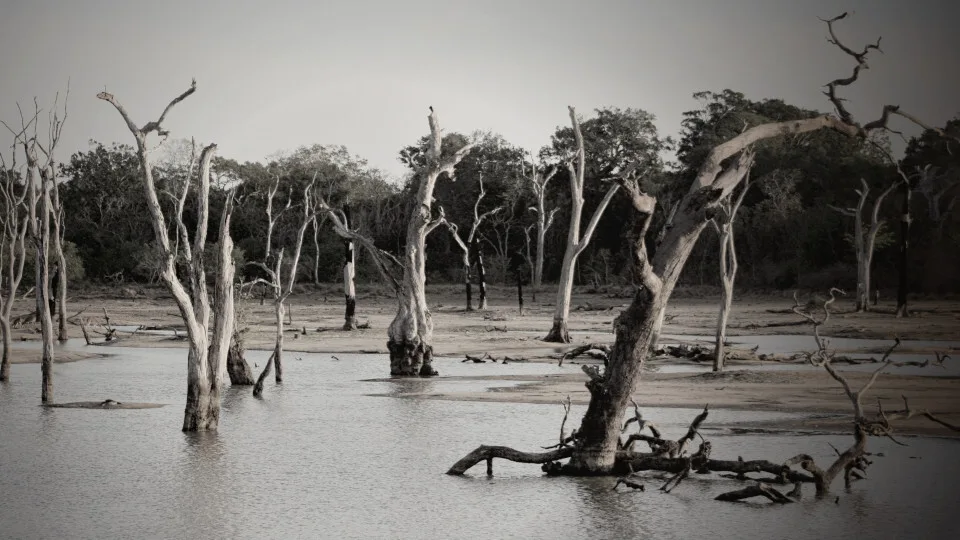 Η πρώτη Διεθνής Συνάντηση Εργασίας «SETOFF» στην Καβάλα