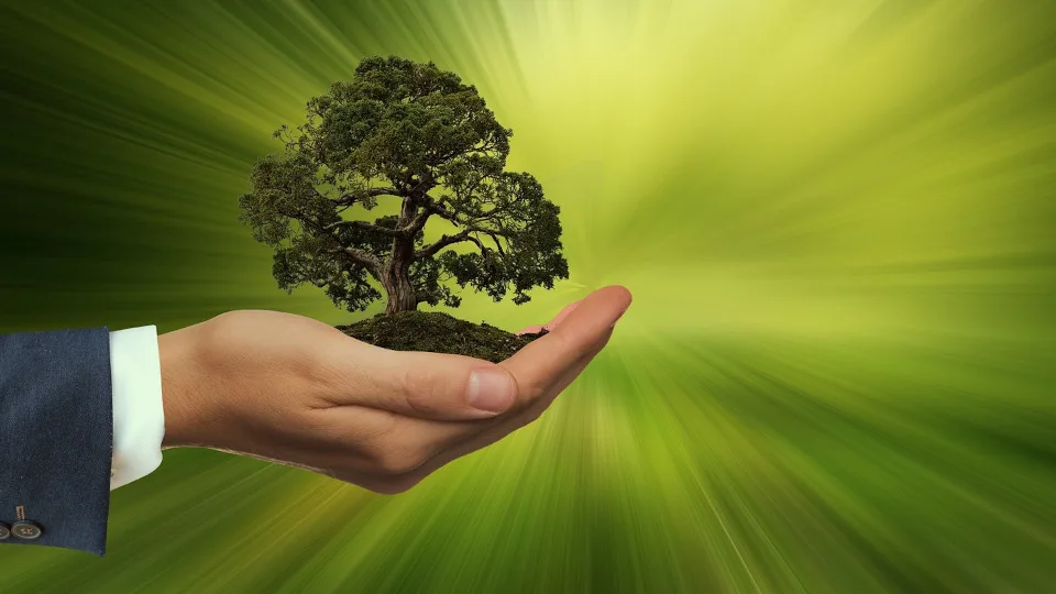 ECOMOBILITY 2025: Τελική εκδήλωση απονομής βραβείων - Ποια σχολεία βραβεύτηκαν