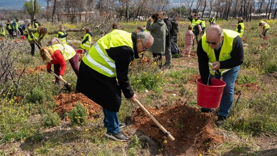 Δενδροφύτευση στη Βαρυμπόμπη από το ΕΕΑ