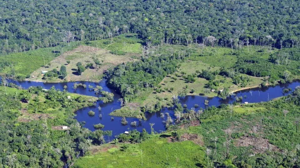 Διάσκεψη Κορυφής στη Βραζιλία για τη διάσωση της Αμαζονίας