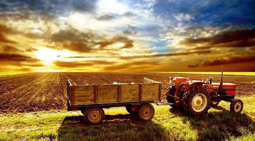 Ρεκόρ στο εμπόριο αγροδιατροφικών προϊόντων της ΕΕ τον Οκτώβριο 2024