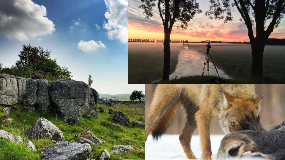 ​Το Viasat Nature σε ταξιδεύει σε μια άγρια και υπέροχη περιπέτεια στην άγρια φύση της Ευρώπης