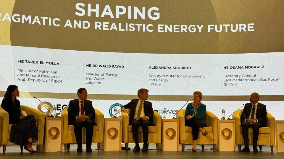 Αλ. Σδούκου: Με όραμα, αλλά και ρεαλισμό στο δρόμο για το net zero