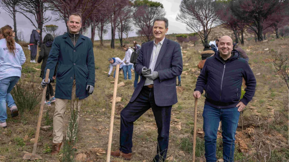 Ξεκινά η β' φάση του προγράμματος αναδάσωσης της Παπαστράτος