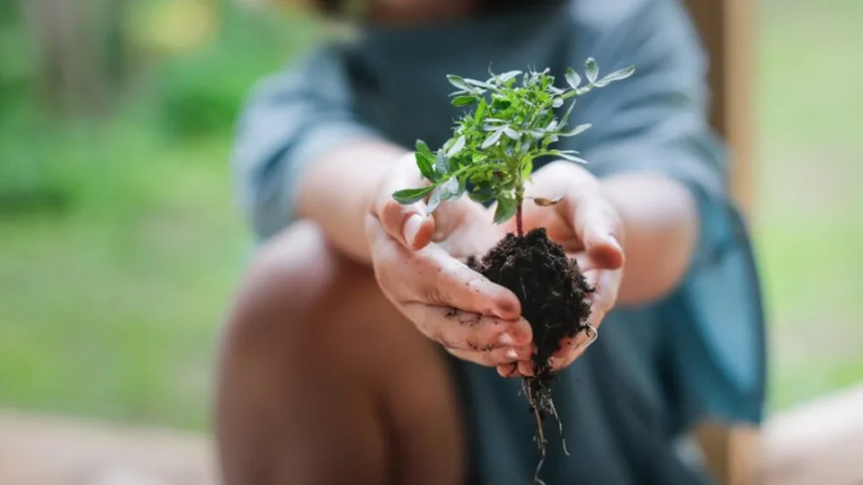 ​Schneider Electric: Η πρόοδος του προγράμματος Schneider Sustainability Impact για το α' τρίμηνο του 2024