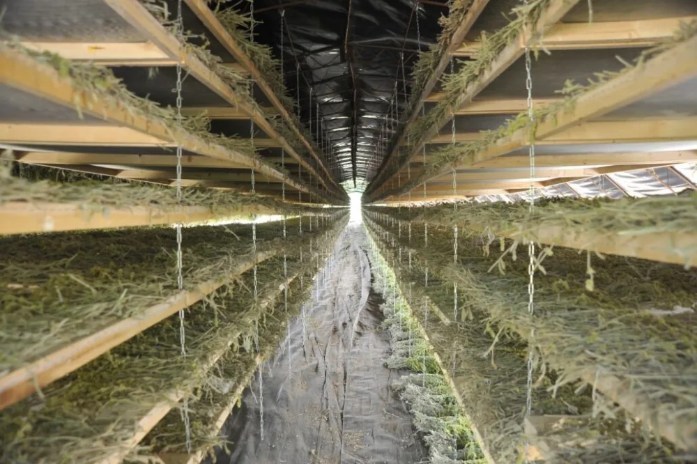 ΑΠΟΣΤΟΛΗ - IOCC: Πρόγραμμα για εξοπλισμό και mentoring σε μικρές επιχειρήσεις - συνεταιρισμούς