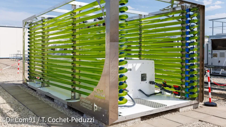 Σε βιομάζα από φύκη μετατρέπουν τη θερμότητα από data center η Data4 και το Ίδρυμα του Πανεπιστημίου Paris-Saclay