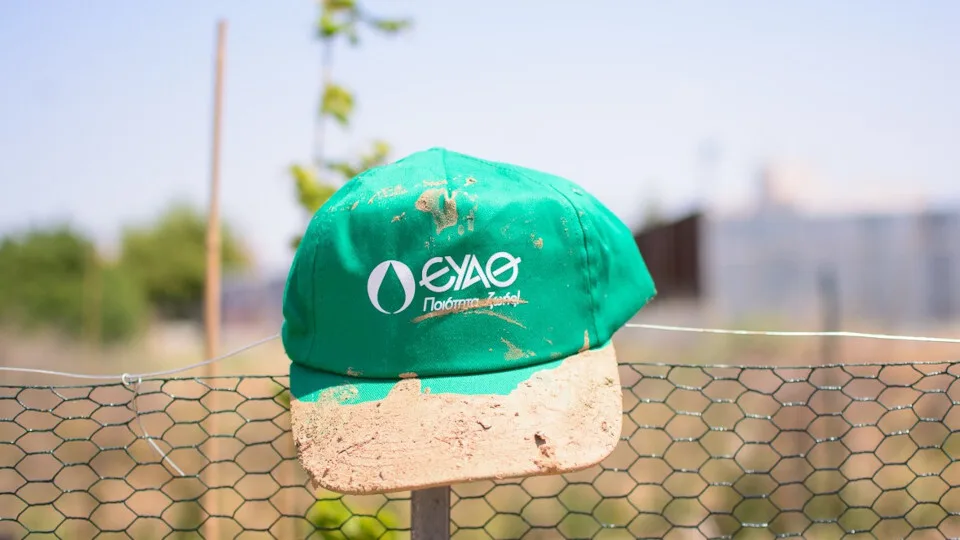 ΕΥΑΘ: Μια ιδιαίτερη δενδροφύτευση στα παλιά βυρσοδεψεία Θεσσαλονίκης στις 5 Ιουνίου