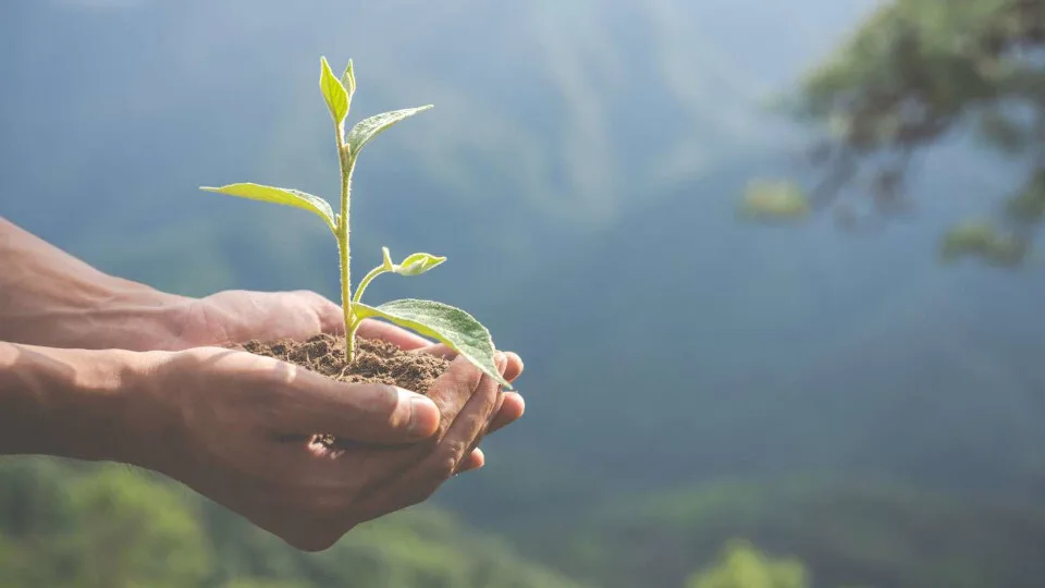 ΕΕΚΕ: Όσα χρειάζεται να κάνουν οι καταναλωτές για την επιλογή προϊόντων φιλικών προς το περιβάλλον