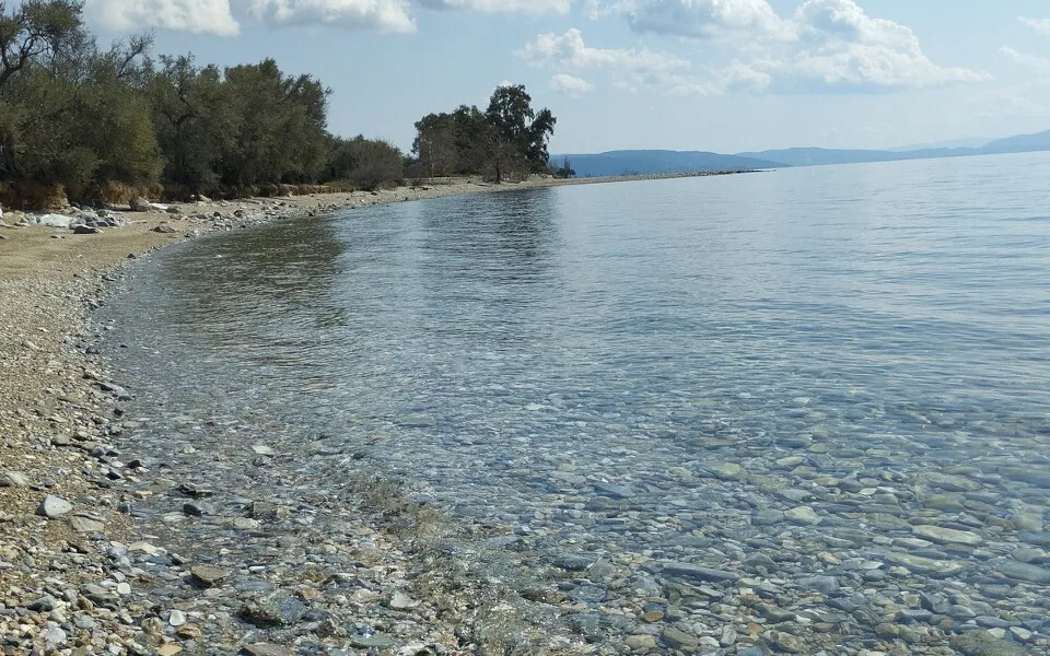 Όμιλος Σαράντη: Οργάνωσε εθελοντικό καθαρισμό της παραλίας Γλύφα στο Πήλιο