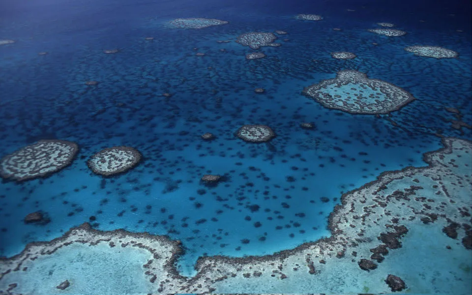 Novotel & WWF: Ένας χρόνος συνεργασίας για την προστασία των ωκεανών