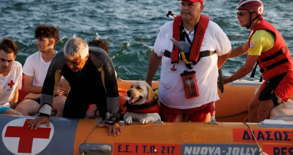 Ο Ε.Ε.Σ. εκπαιδεύει σκύλους- διασώστες που θα συνοδεύουν τους ναυαγοσώστες στο έργο τους