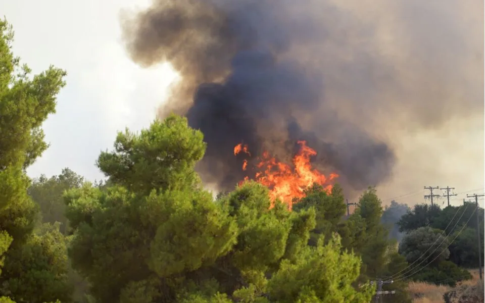 Μέσω myAADE υποβάλλονται οι δηλώσεις απαλλαγής ΕΝΦΙΑ για τις πυρκαγιές του 2025