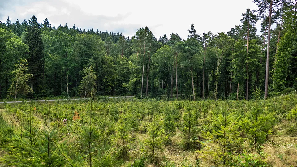 Netflix, Microsoft, Apple, Meta στη μάχη για το κλίμα