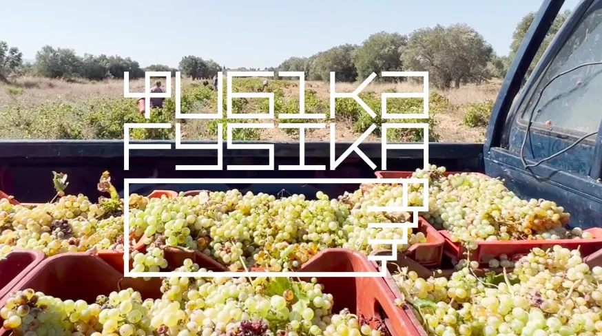 ΦΥΣΙΚΑ FYSIKA: Ένας προορισμός, αμέτρητες ιστορίες κρασιού