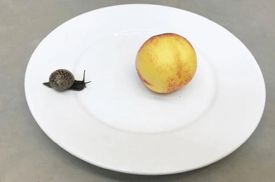 «Υou are invited»: στην έκθεση του εμβληματικού Juergen Teller και το νέο Onassis Ready