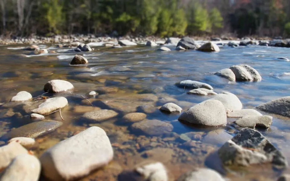 Υπό την αιγίδα του ΕΟΤ events πολιτισμού και γαστρονομίας του φεστιβάλ RedRiver στο Διδυμότειχο