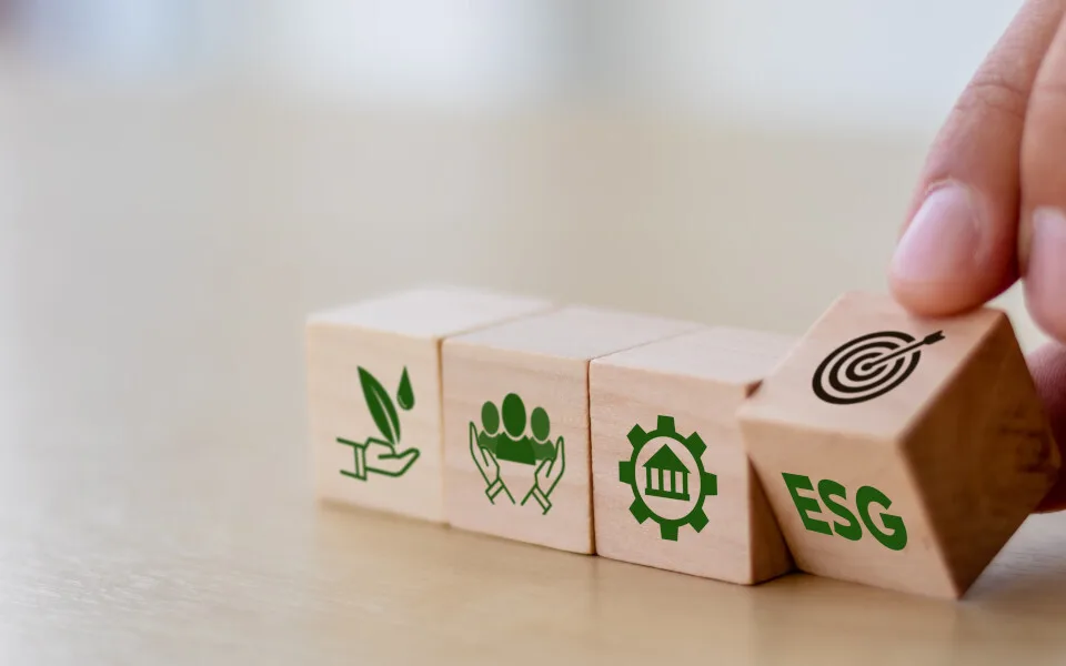 Το Κέντρο Αειφορίας (CSE) γιόρτασε τα 20 του χρόνια με εκδήλωση που έλαβε χώρα στο Τόκιο