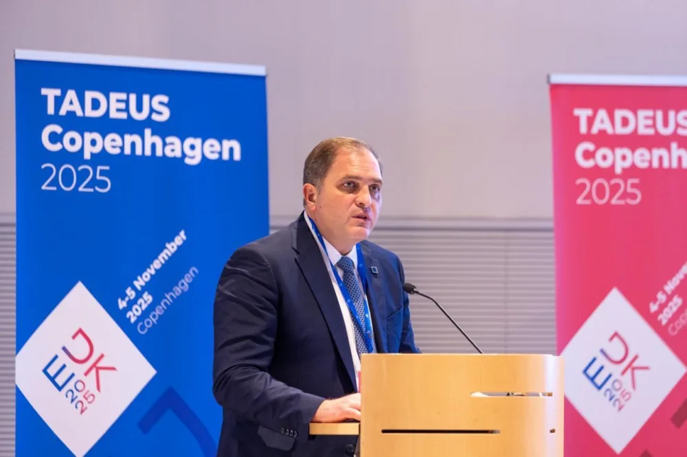 3 βασικά σημεία για τις φορολογικές διοικήσεις της Ε.Ε - παρουσίαση Πιτσιλή