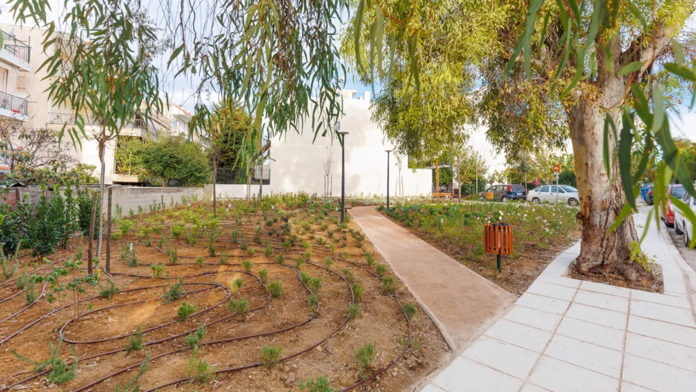 Η P&G παραδίδει το 26ο Πάρκο Τσέπης, έναν «βοτανόκηπο» με περισσότερα από 1.000 φυτά στους Αγίους Αναργύρους