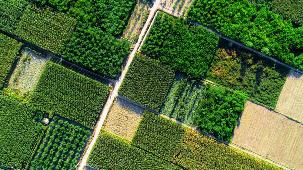 Βιώσιμη γεωργία: Η μετάβαση ξεκινά από το χωράφι