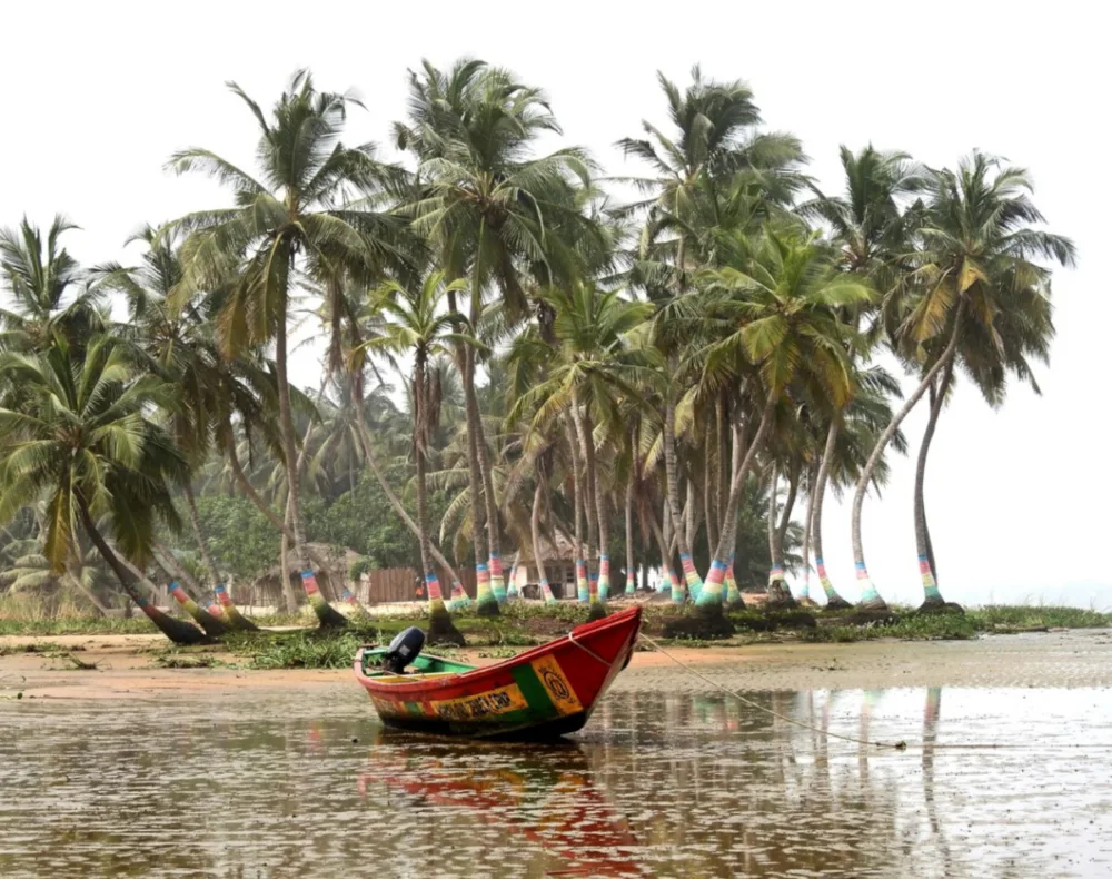 Ελληνοαφρικανικό Επιμελητήριο: Μια αναλυτική ενημέρωση γύρω από τις πιο σημαντικές εξελίξεις των αφρικανικών αγορών