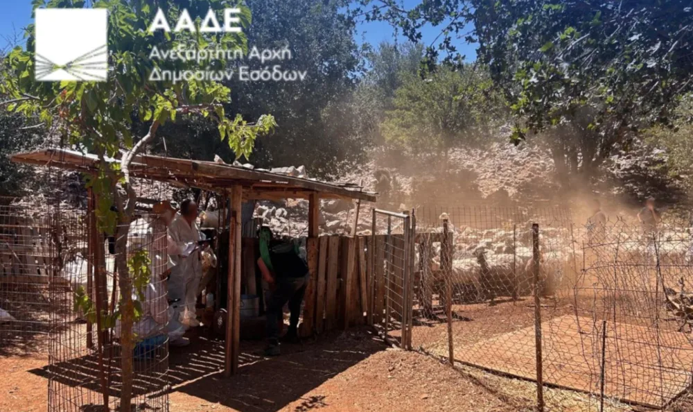 ΑΑΔΕ: Διενεργήθηκε ο πρώτος μαζικός επιτόπιος έλεγχος για αγροτικές επιδοτήσεις
