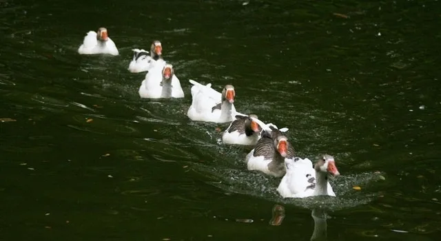 Ο ηγέτης σε εποχές αλλαγής