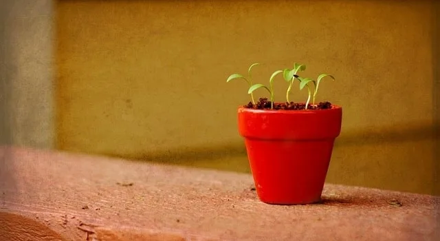 Ξεκινώντας ένα "Startup"