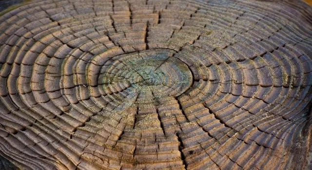 Έχει η επιχειρηματικότητα ηλικία;