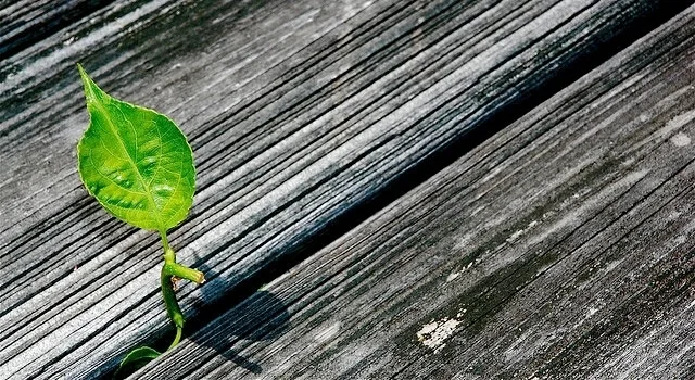 Η νέα ελπίδα των ελληνικών επιχειρήσεων. Lean Startups